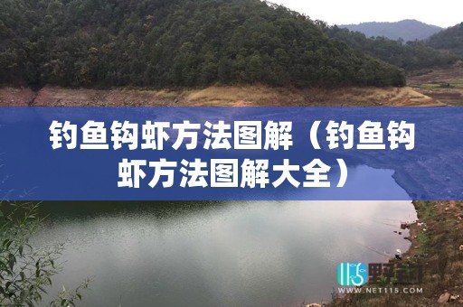 钓鱼钩虾方法图解（钓鱼钩虾方法图解大全）