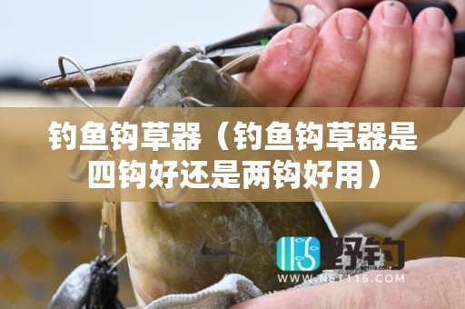 钓鱼钩草器（钓鱼钩草器是四钩好还是两钩好用）