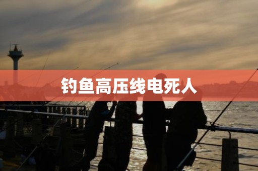 钓鱼高压线电死人