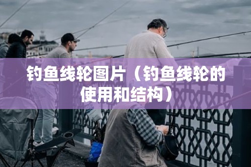 钓鱼线轮图片（钓鱼线轮的使用和结构）
