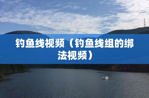 钓鱼线视频（钓鱼线组的绑法视频）