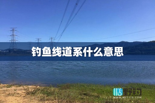 钓鱼线道系什么意思