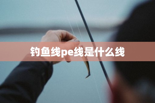 钓鱼线pe线是什么线