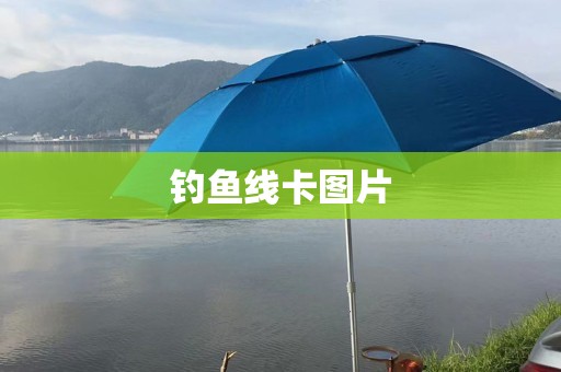 钓鱼线卡图片