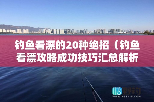 钓鱼看漂的20种绝招（钓鱼看漂攻略成功技巧汇总解析）