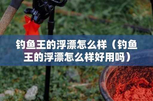 钓鱼王的浮漂怎么样（钓鱼王的浮漂怎么样好用吗）