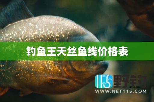 钓鱼王天丝鱼线价格表
