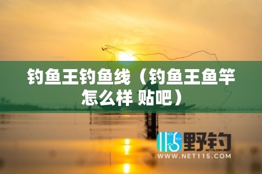 钓鱼王钓鱼线（钓鱼王鱼竿怎么样 贴吧）