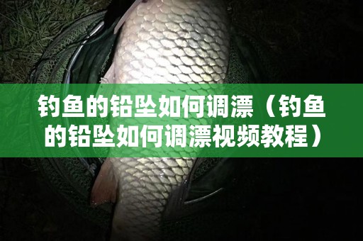 钓鱼的铅坠如何调漂（钓鱼的铅坠如何调漂视频教程）