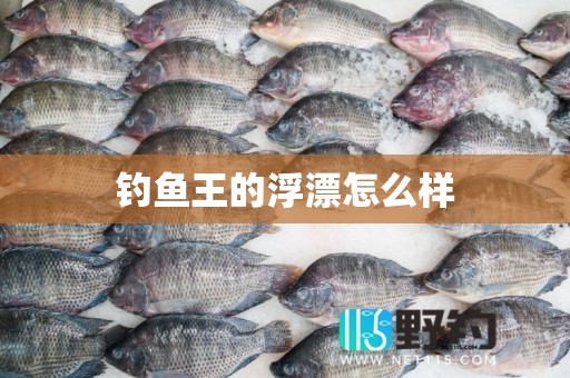 钓鱼王的浮漂怎么样