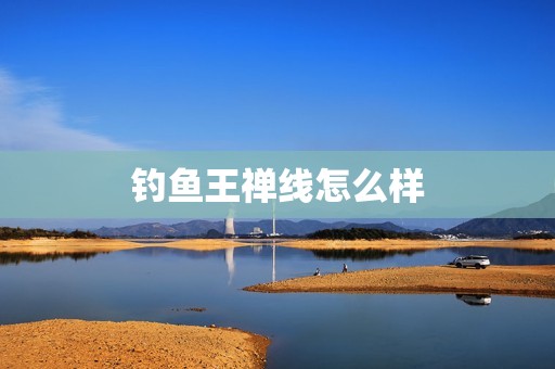 钓鱼王禅线怎么样