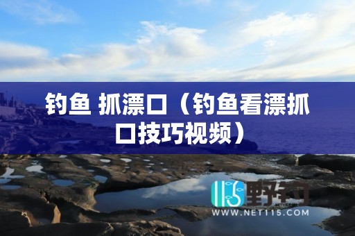 钓鱼 抓漂口（钓鱼看漂抓口技巧视频）