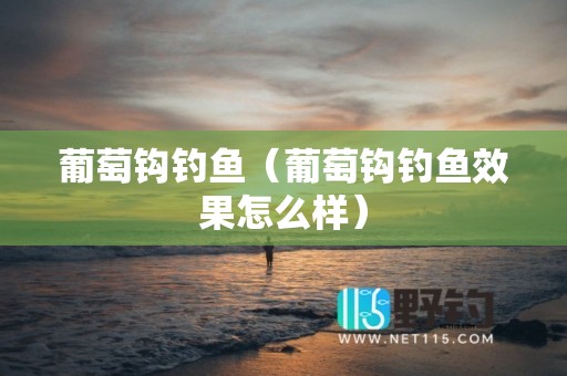 葡萄钩钓鱼（葡萄钩钓鱼效果怎么样）