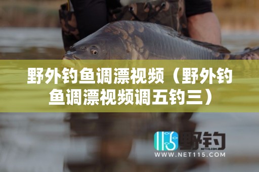 野外钓鱼调漂视频（野外钓鱼调漂视频调五钓三）