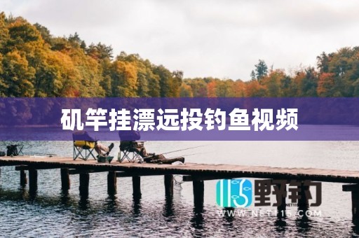 矶竿挂漂远投钓鱼视频