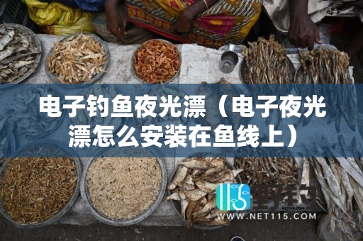 电子钓鱼夜光漂（电子夜光漂怎么安装在鱼线上）