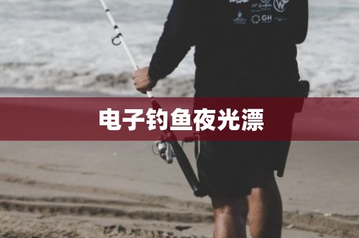 电子钓鱼夜光漂
