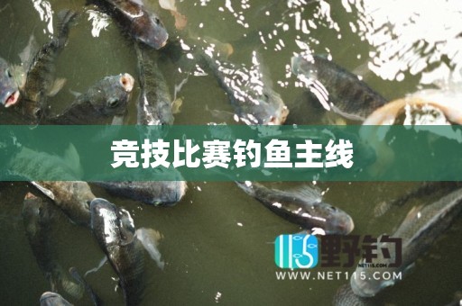 竞技比赛钓鱼主线