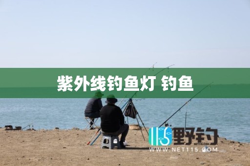 紫外线钓鱼灯 钓鱼
