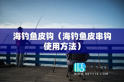 海钓鱼皮钩（海钓鱼皮串钩使用方法）
