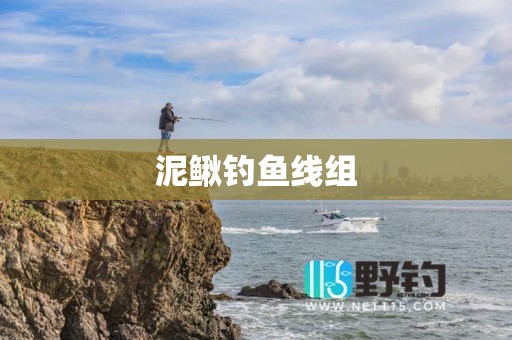 泥鳅钓鱼线组