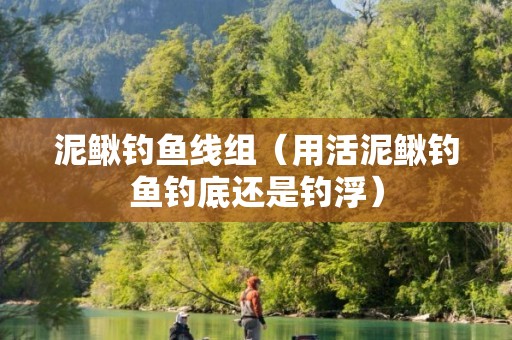 泥鳅钓鱼线组（用活泥鳅钓鱼钓底还是钓浮）