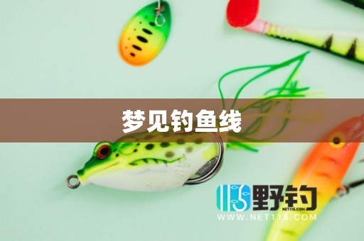 梦见钓鱼线