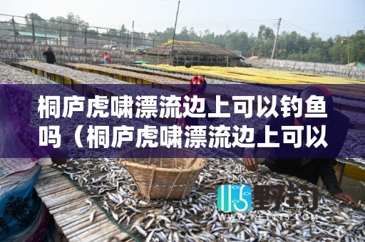 桐庐虎啸漂流边上可以钓鱼吗（桐庐虎啸漂流边上可以钓鱼吗现在）