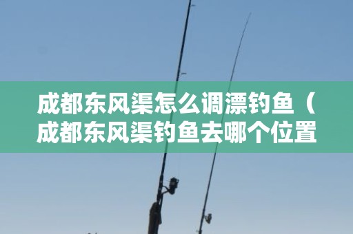 成都东风渠怎么调漂钓鱼（成都东风渠钓鱼去哪个位置）