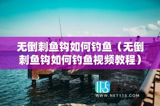 无倒刺鱼钩如何钓鱼（无倒刺鱼钩如何钓鱼视频教程）