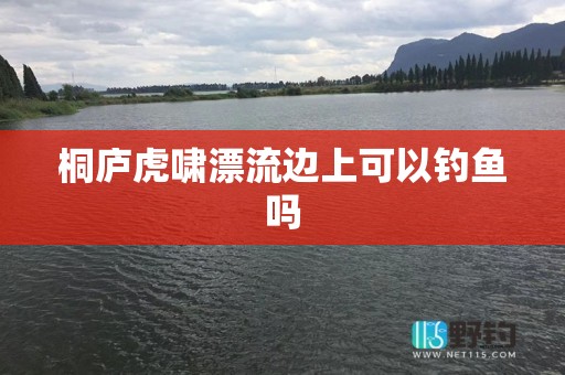 桐庐虎啸漂流边上可以钓鱼吗