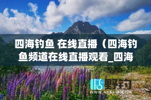 四海钓鱼 在线直播（四海钓鱼频道在线直播观看_四海钓鱼频道回看）