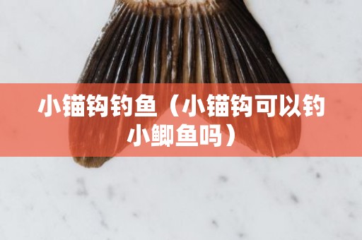 小锚钩钓鱼（小锚钩可以钓小鲫鱼吗）