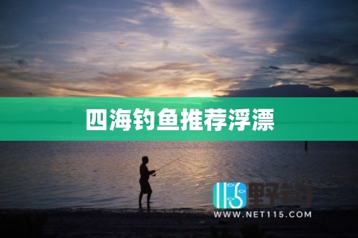 四海钓鱼推荐浮漂