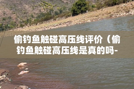 偷钓鱼触碰高压线评价（偷钓鱼触碰高压线是真的吗-应用汇）
