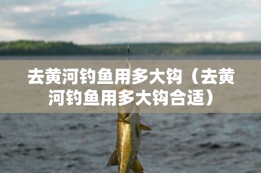 去黄河钓鱼用多大钩（去黄河钓鱼用多大钩合适）
