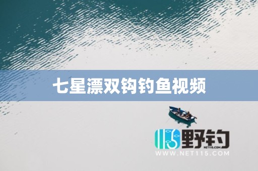 七星漂双钩钓鱼视频