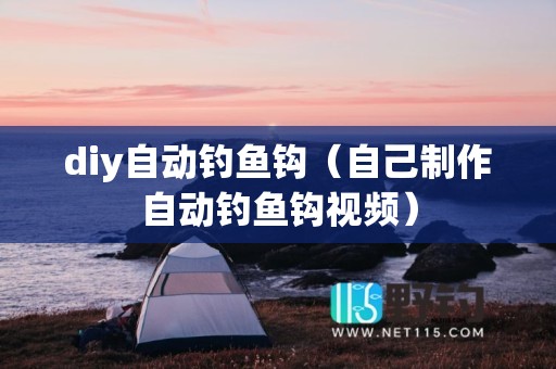 diy自动钓鱼钩（自己制作自动钓鱼钩视频）