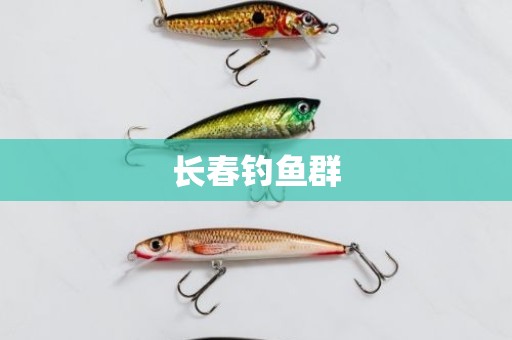 长春钓鱼群