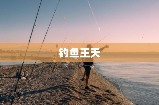 钓鱼王天