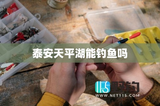 泰安天平湖能钓鱼吗