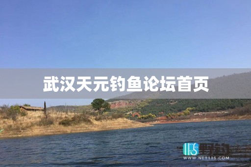武汉天元钓鱼论坛首页