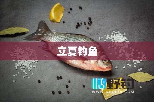 立夏钓鱼