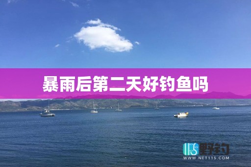 暴雨后第二天好钓鱼吗
