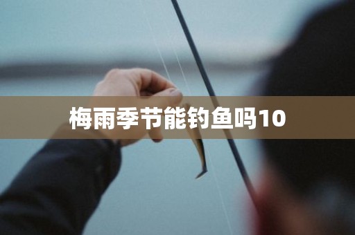 梅雨季节能钓鱼吗10