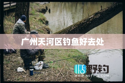 广州天河区钓鱼好去处