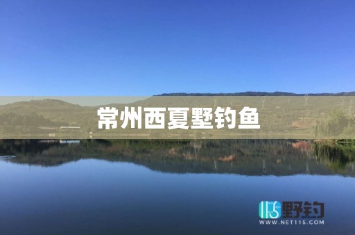 常州西夏墅钓鱼