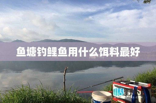 鱼塘钓鲤鱼用什么饵料最好