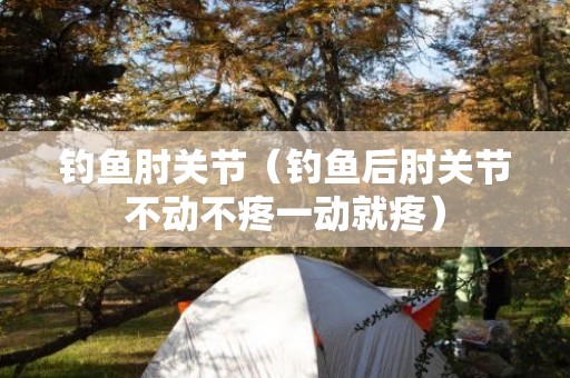 钓鱼肘关节（钓鱼后肘关节不动不疼一动就疼）