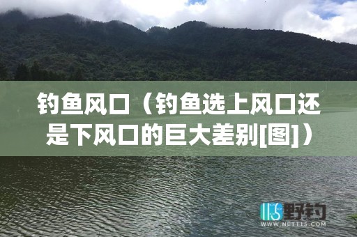 钓鱼风口（钓鱼选上风口还是下风口的巨大差别[图]）